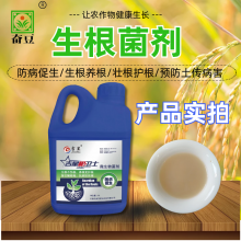 根系不长、生根慢用菌肥还是菌剂？科学选肥促根壮苗