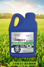 蔬菜烂根枯萎频发，根源在于土壤菌群失衡？